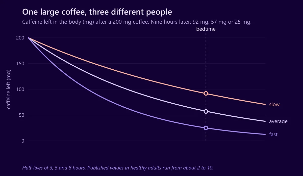 Chart showing caffeine remaining in the body over twelve hours after a 200 mg coffee, for fast, average and slow metabolisers, with bedtime marked at nine hours.